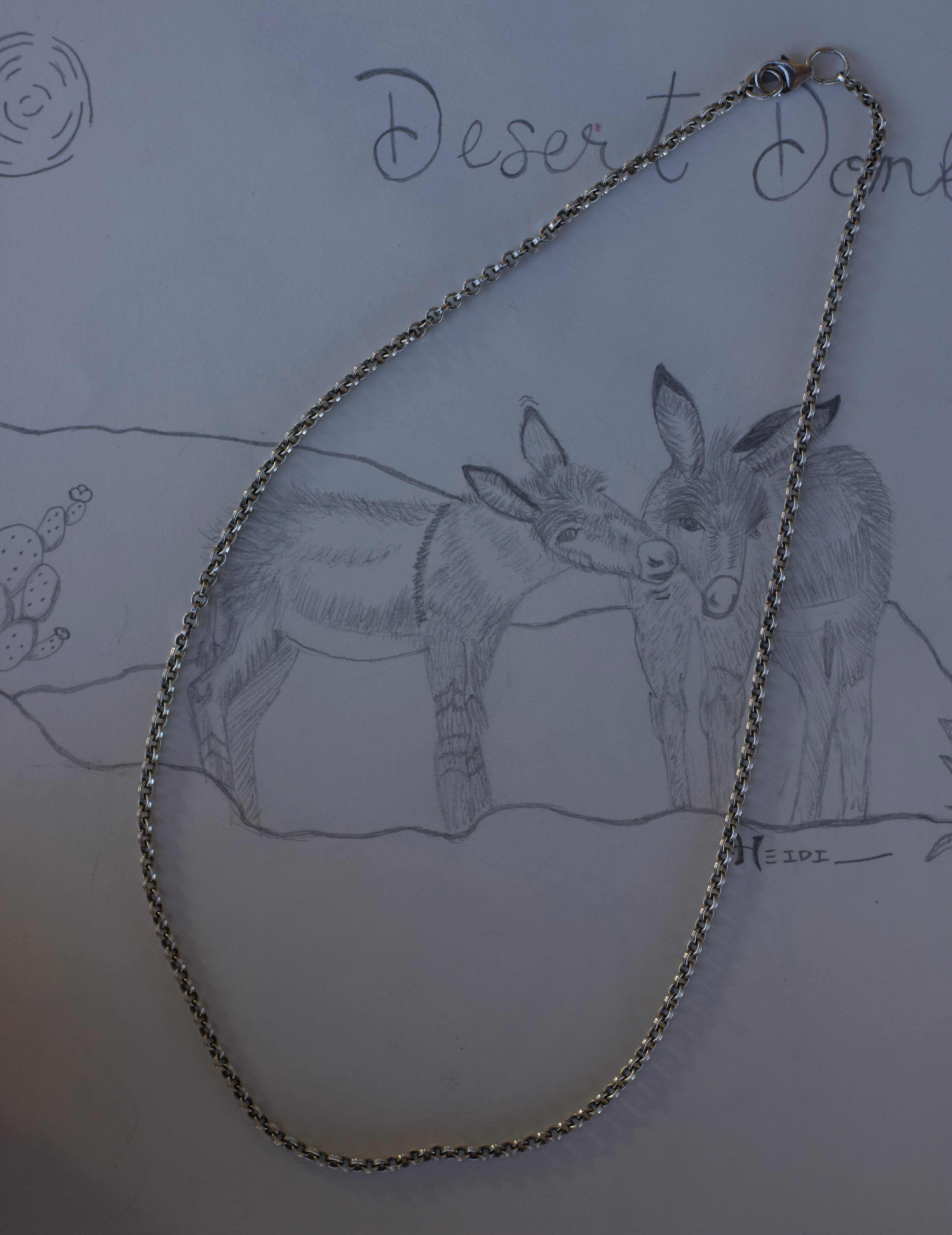 Flat Rolo Chain Neclace