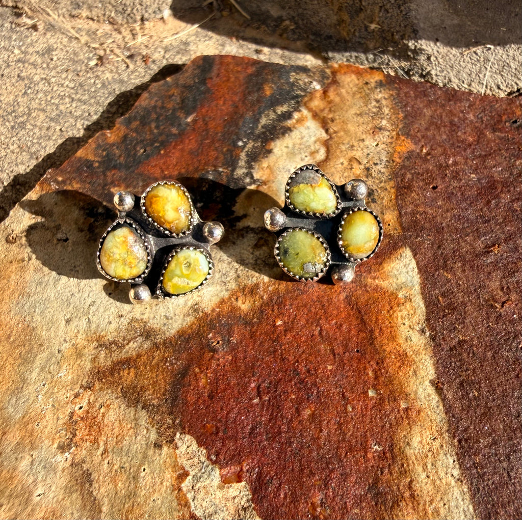 Palomino Studs